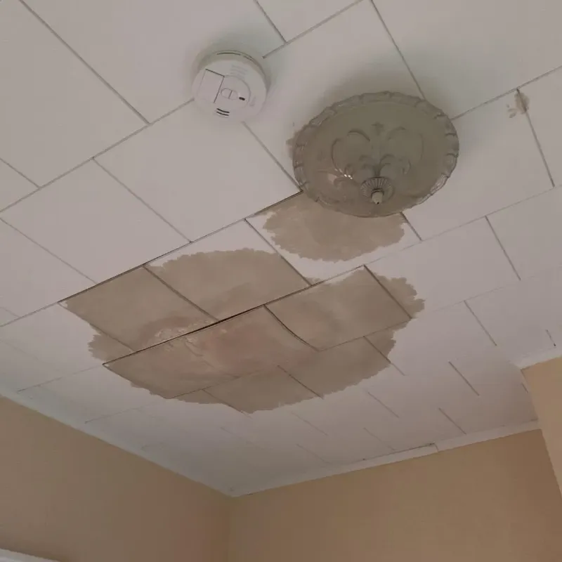 Ceiling Water Damage Repair in Mayer, MN